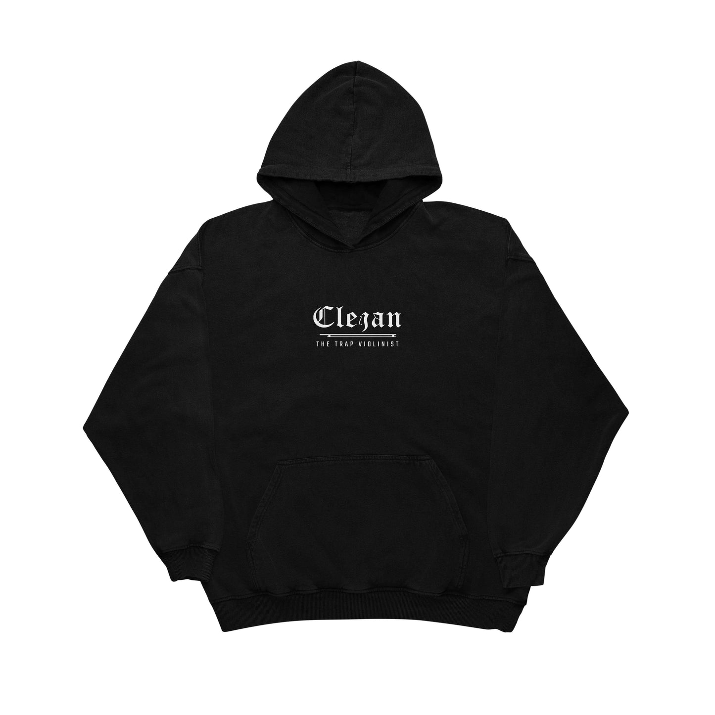 Violin Turtle Hoodie by Clejan